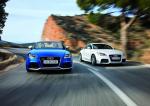 Audi TT RS Coupe 2009 года (WW)